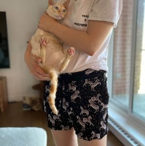 Free with purchase - Zara zebra shorts